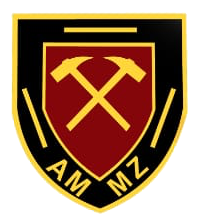 AMMZ crest